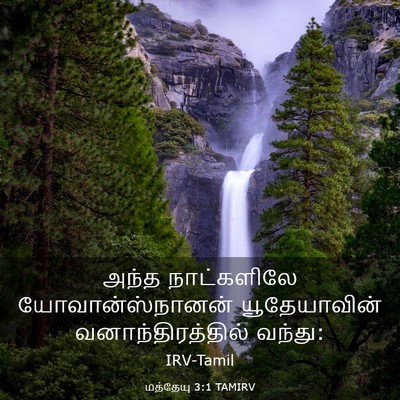 Picture 03 - மத்தேயு 3:1 TAMIRV - அந்த நாட்களிலே - Bible Verse Picture