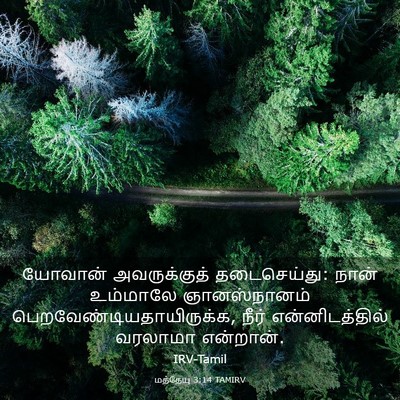 Picture 03 - மத்தேயு 3:14 TAMIRV - யோவான் அவருக்குத் - Bible Verse Picture