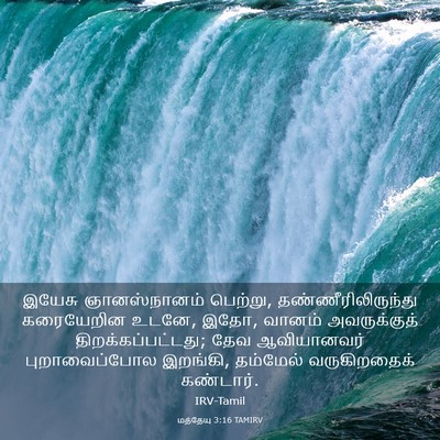 Picture 03 - மத்தேயு 3:16 TAMIRV - இயேசு ஞானஸ்நானம் - Bible Verse Picture