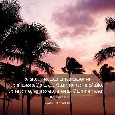 Picture 03 - மத்தேயு 3:6 TAMIRV - தங்களுடைய - Bible Verse Picture