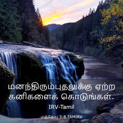 Picture 03 - மத்தேயு 3:8 TAMIRV -  - Bible Verse Picture