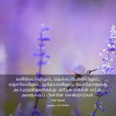 Picture 03 - மத்தேயு 4:25 TAMIRV - கலிலேயாவிலும், - Bible Verse Picture