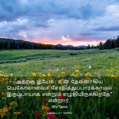 Picture 03 - மத்தேயு 4:7 TAMIRV - அதற்கு இயேசு: உன் - Bible Verse Picture
