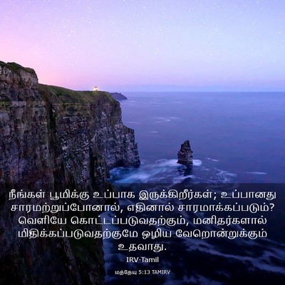 Picture 03 - மத்தேயு 5:13 TAMIRV - நீங்கள் பூமிக்கு - Bible Verse Picture