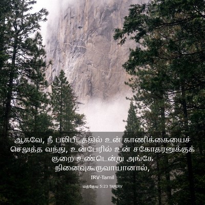 Picture 03 - மத்தேயு 5:23 TAMIRV - ஆகவே, நீ - Bible Verse Picture