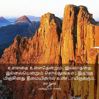 Picture 03 - மத்தேயு 5:37 TAMIRV - உள்ளதை - Bible Verse Picture