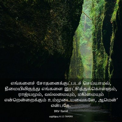 Picture 03 - மத்தேயு 6:13 TAMIRV - எங்களைச் - Bible Verse Picture