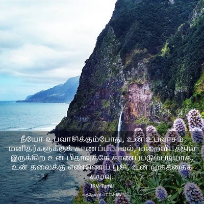 Picture 03 - மத்தேயு 6:17 TAMIRV - நீயோ - Bible Verse Picture