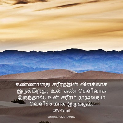 Picture 03 - மத்தேயு 6:22 TAMIRV - கண்ணானது - Bible Verse Picture