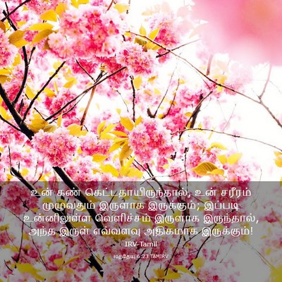 Picture 03 - மத்தேயு 6:23 TAMIRV - உன் கண் - Bible Verse Picture