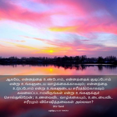 Picture 03 - மத்தேயு 6:25 TAMIRV - ஆகவே, என்னத்தை - Bible Verse Picture