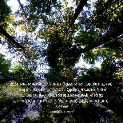 Picture 03 - மத்தேயு 6:32 TAMIRV - இவைகளையெல்லாம் - Bible Verse Picture