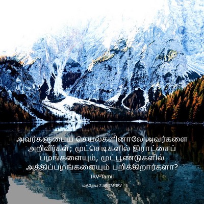 Picture 03 - மத்தேயு 7:16 TAMIRV - அவர்களுடைய - Bible Verse Picture