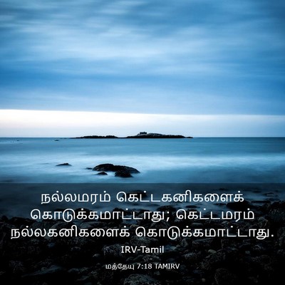 Picture 03 - மத்தேயு 7:18 TAMIRV - நல்லமரம் - Bible Verse Picture