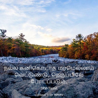 Picture 03 - மத்தேயு 7:19 TAMIRV - நல்ல கனிகொடாத - Bible Verse Picture