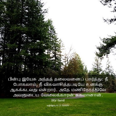 Picture 03 - மத்தேயு 8:13 TAMIRV - பின்பு இயேசு - Bible Verse Picture
