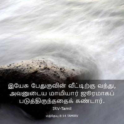 Picture 03 - மத்தேயு 8:14 TAMIRV - இயேசு பேதுருவின் - Bible Verse Picture
