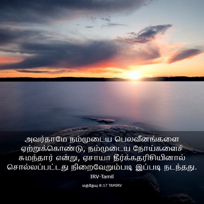 Picture 03 - மத்தேயு 8:17 TAMIRV - அவர்தாமே நம்முடைய - Bible Verse Picture