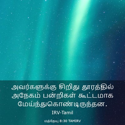Picture 03 - மத்தேயு 8:30 TAMIRV - அவர்களுக்கு - Bible Verse Picture