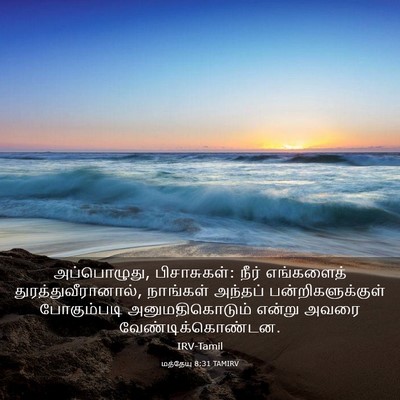 Picture 03 - மத்தேயு 8:31 TAMIRV - அப்பொழுது, - Bible Verse Picture