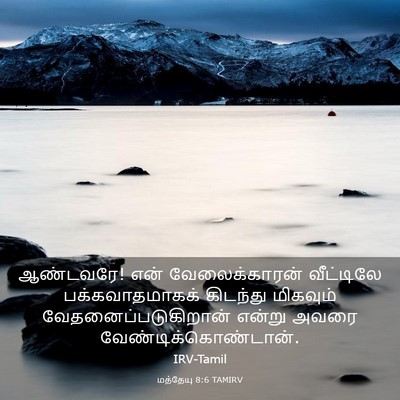 Picture 03 - மத்தேயு 8:6 TAMIRV - ஆண்டவரே! என் - Bible Verse Picture