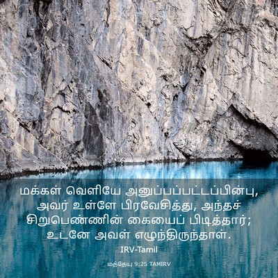 Picture 03 - மத்தேயு 9:25 TAMIRV - மக்கள் வெளியே - Bible Verse Picture