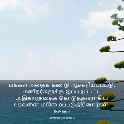 Picture 03 - மத்தேயு 9:8 TAMIRV - மக்கள் அதைக் - Bible Verse Picture