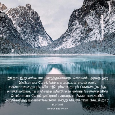 Picture 03 - மல்கியா 1:13 TAMIRV - இதோ, இது எவ்வளவு - Bible Verse Picture