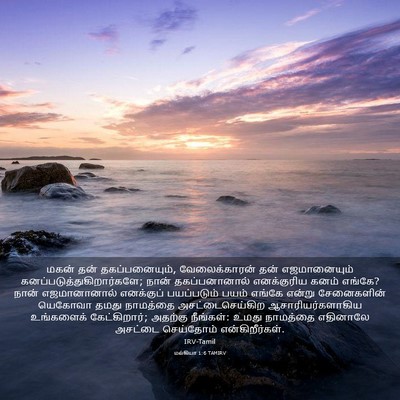 Picture 03 - மல்கியா 1:6 TAMIRV - மகன் தன் - Bible Verse Picture