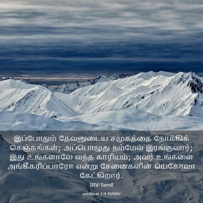 Picture 03 - மல்கியா 1:9 TAMIRV - இப்போதும் - Bible Verse Picture