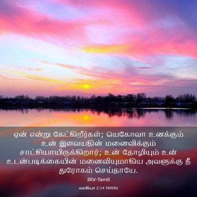 Picture 03 - மல்கியா 2:14 TAMIRV - ஏன் என்று - Bible Verse Picture