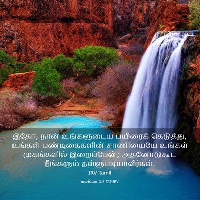 Picture 03 - மல்கியா 2:3 TAMIRV - இதோ, நான் - Bible Verse Picture
