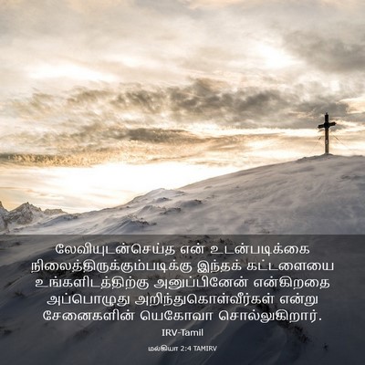 Picture 03 - மல்கியா 2:4 TAMIRV - லேவியுடன்செய்த - Bible Verse Picture