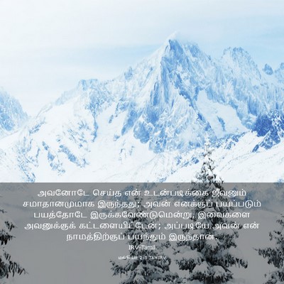 Picture 03 - மல்கியா 2:5 TAMIRV - அவனோடே செய்த என் - Bible Verse Picture