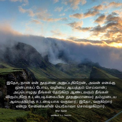 Picture 03 - மல்கியா 3:1 TAMIRV - இதோ, நான் என் தூதனை - Bible Verse Picture