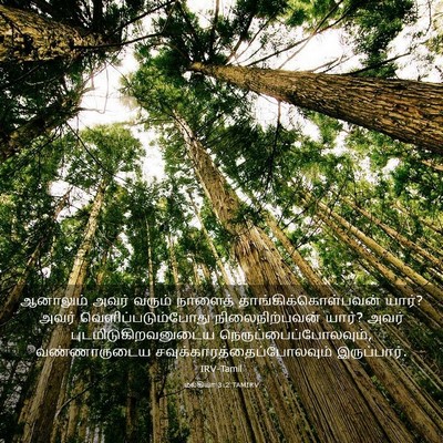 Picture 03 - மல்கியா 3:2 TAMIRV - ஆனாலும் அவர் - Bible Verse Picture