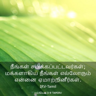 Picture 03 - மல்கியா 3:9 TAMIRV - நீங்கள் - Bible Verse Picture