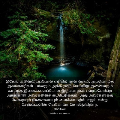 Picture 03 - மல்கியா 4:1 TAMIRV - இதோ, சூளையைப்போல - Bible Verse Picture