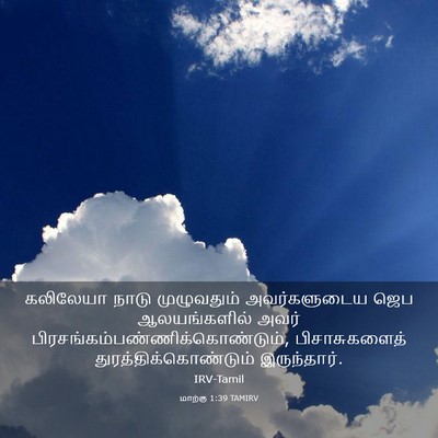 Picture 03 - மாற்கு 1:39 TAMIRV - கலிலேயா நாடு - Bible Verse Picture