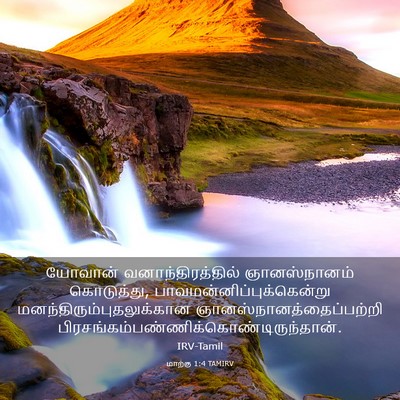Picture 03 - மாற்கு 1:4 TAMIRV - யோவான் - Bible Verse Picture