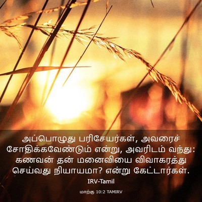 Picture 03 - மாற்கு 10:2 TAMIRV - அப்பொழுது - Bible Verse Picture