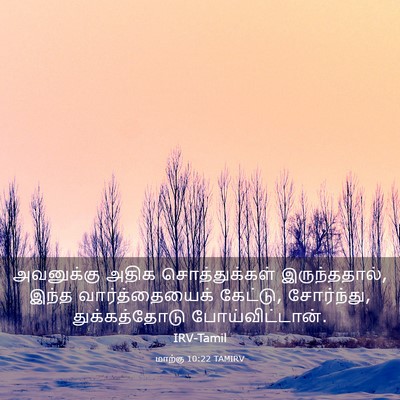 Picture 03 - மாற்கு 10:22 TAMIRV - அவனுக்கு அதிக - Bible Verse Picture