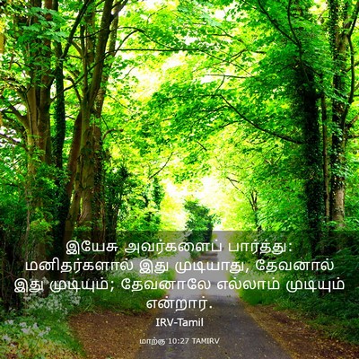Picture 03 - மாற்கு 10:27 TAMIRV - இயேசு அவர்களைப் - Bible Verse Picture