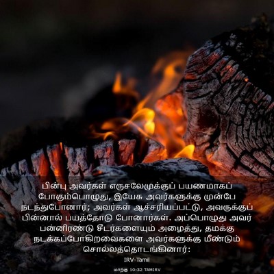 Picture 03 - மாற்கு 10:32 TAMIRV - பின்பு அவர்கள் - Bible Verse Picture