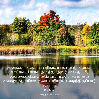 Picture 03 - மாற்கு 10:34 TAMIRV - அவர்கள் அவரைப் - Bible Verse Picture