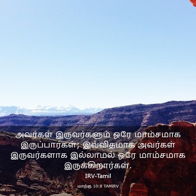 Picture 03 - மாற்கு 10:8 TAMIRV - அவர்கள் - Bible Verse Picture