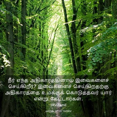Picture 03 - மாற்கு 11:28 TAMIRV - நீர் எந்த - Bible Verse Picture
