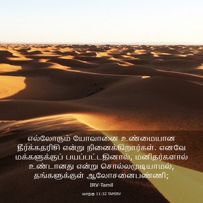 Picture 03 - மாற்கு 11:32 TAMIRV - எல்லோரும் யோவானை - Bible Verse Picture