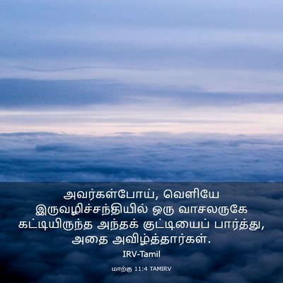 Picture 03 - மாற்கு 11:4 TAMIRV - அவர்கள்போய், - Bible Verse Picture