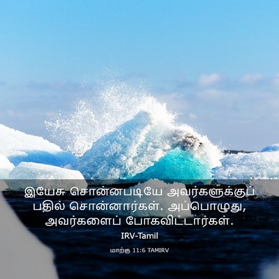 Picture 03 - மாற்கு 11:6 TAMIRV - இயேசு சொன்னபடியே - Bible Verse Picture